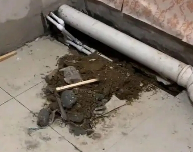 杨陵卫生间漏水检测哪家好