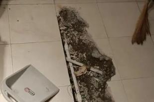 杨陵卫生间漏水检测电话